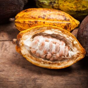 Cocoa Beans
