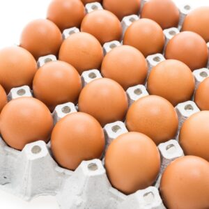 Golden Nest Egg
